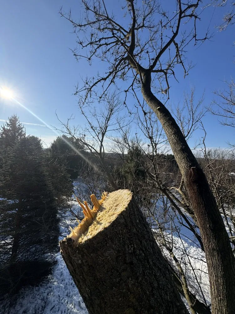 Trusted lawn care service for year-round maintenance in Fond du Lac, WI by Connor And Sons