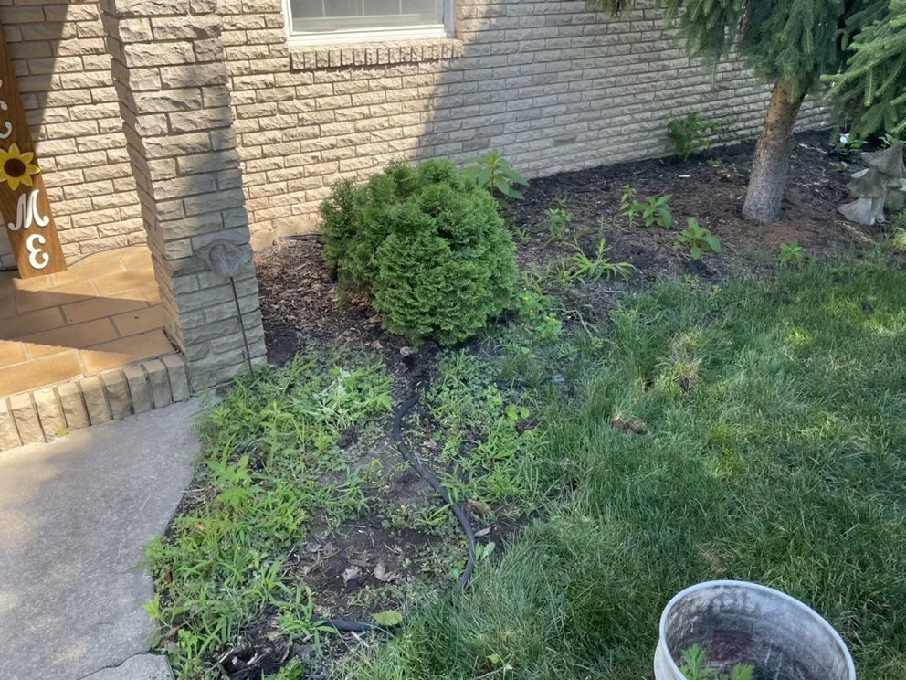 Professional lawn care service in Scranton, PA - Connor Lawn Services