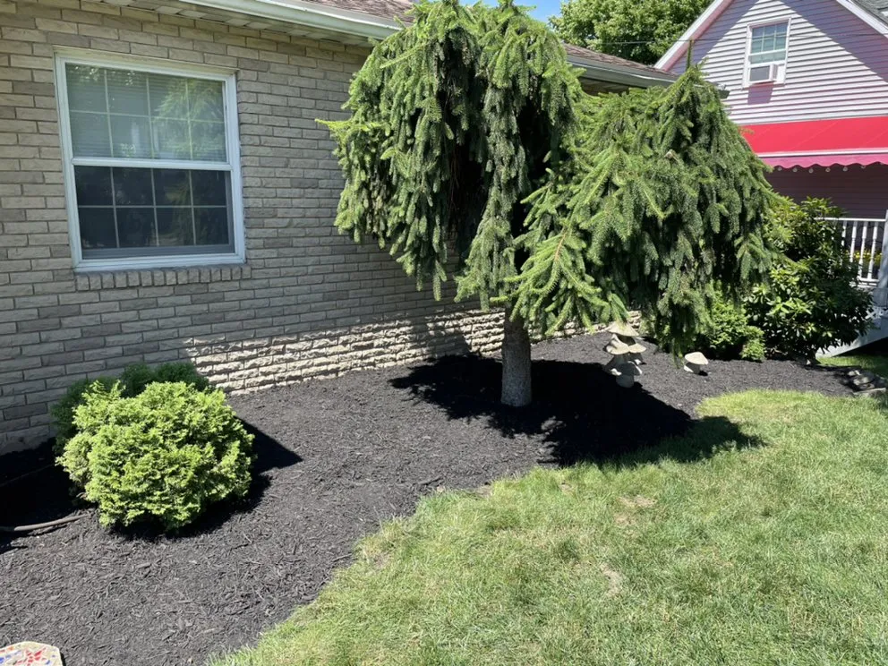 Affordable landscape installation near you in Scranton, PA by Connor Lawn Services