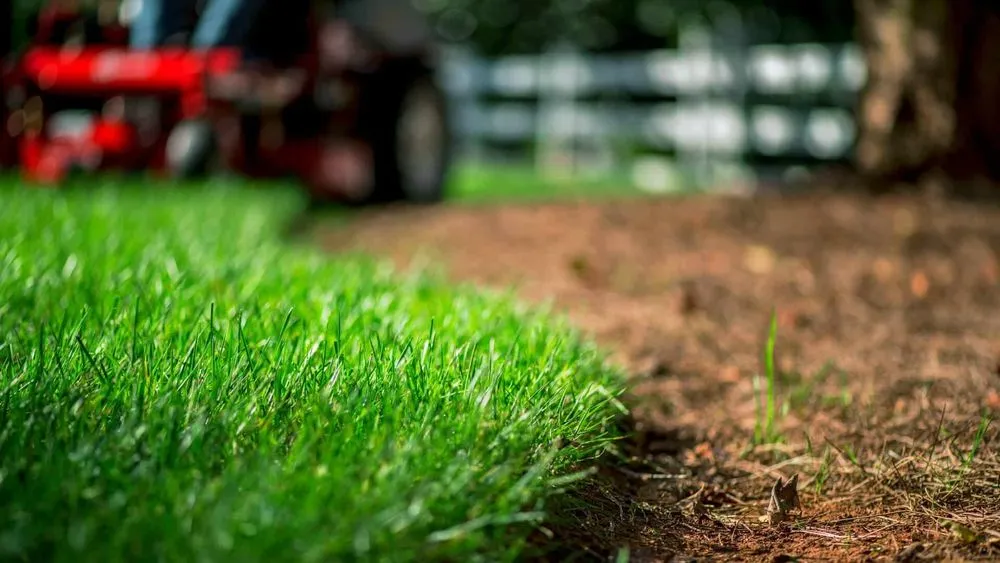 Top-rated landscaping services in Fayetteville, GA - Connors Lawn Barbers