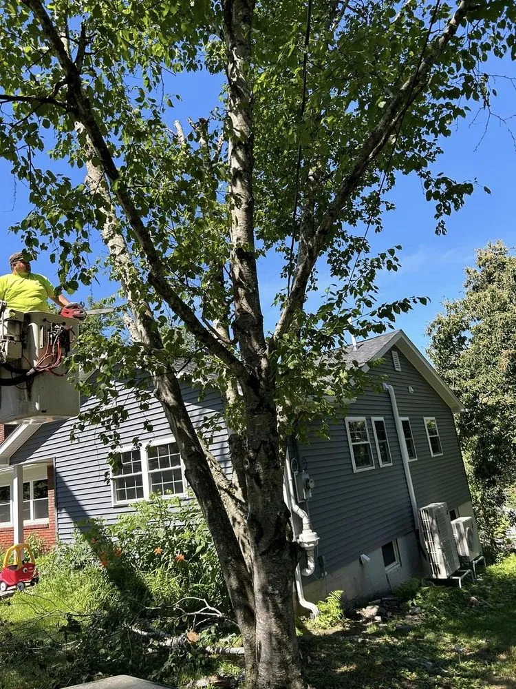 Local lawn mowing service in West Hurley, NY by Connors Property Care