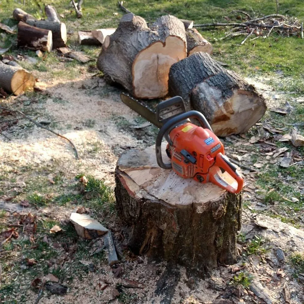 Professional residential landscaping experts serving West Hurley, NY - Connors Property Care