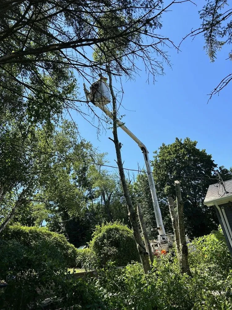 Reliable lawn mowing service in West Hurley, NY - Connors Property Care