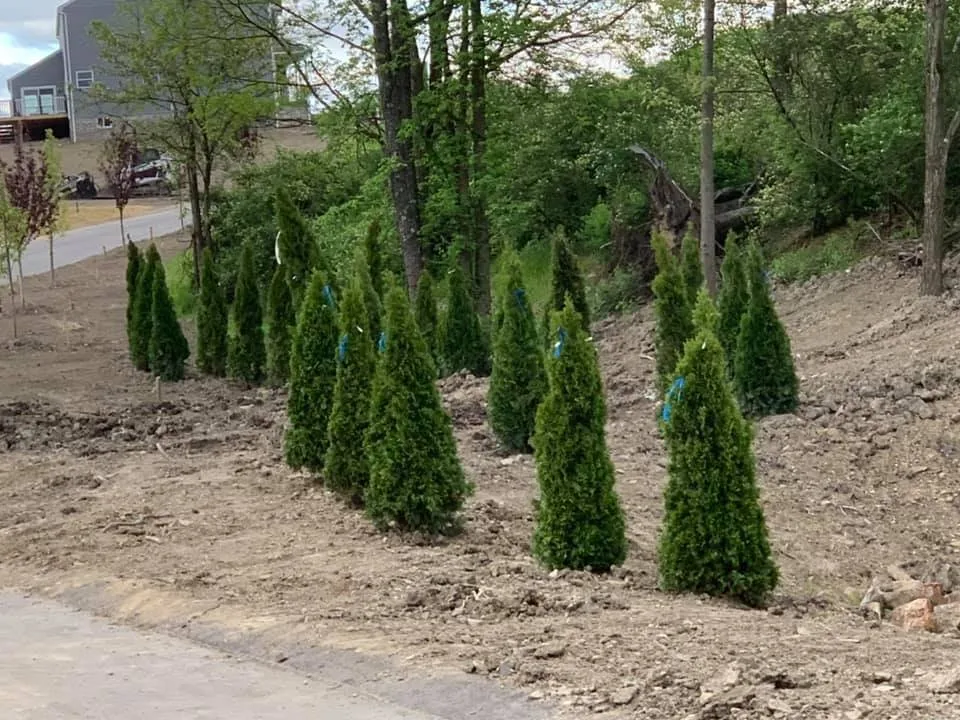 Professional outdoor landscaping in Burgettstown, PA - Conrad's Outdoor Solutions