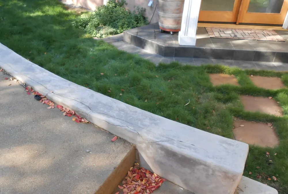 Local yard cleanup service for beautiful yards across San Carlos, CA - Conscapes Landscape & Concrete