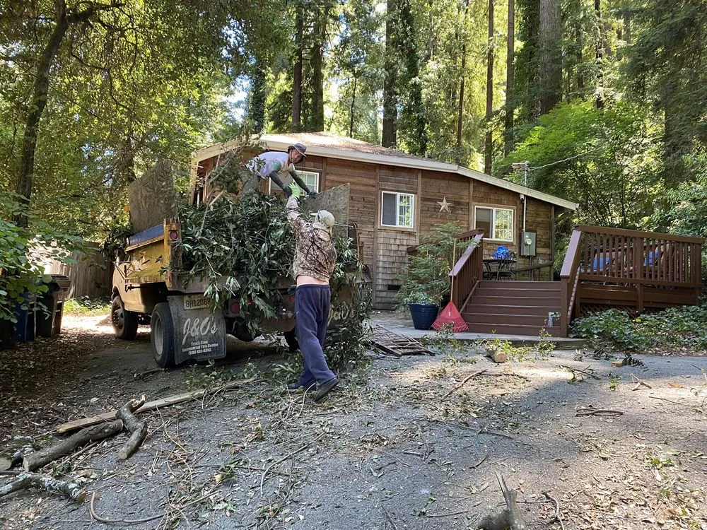 Expert yard maintenance experts serving Boulder Creek, CA - Conscious Clearing