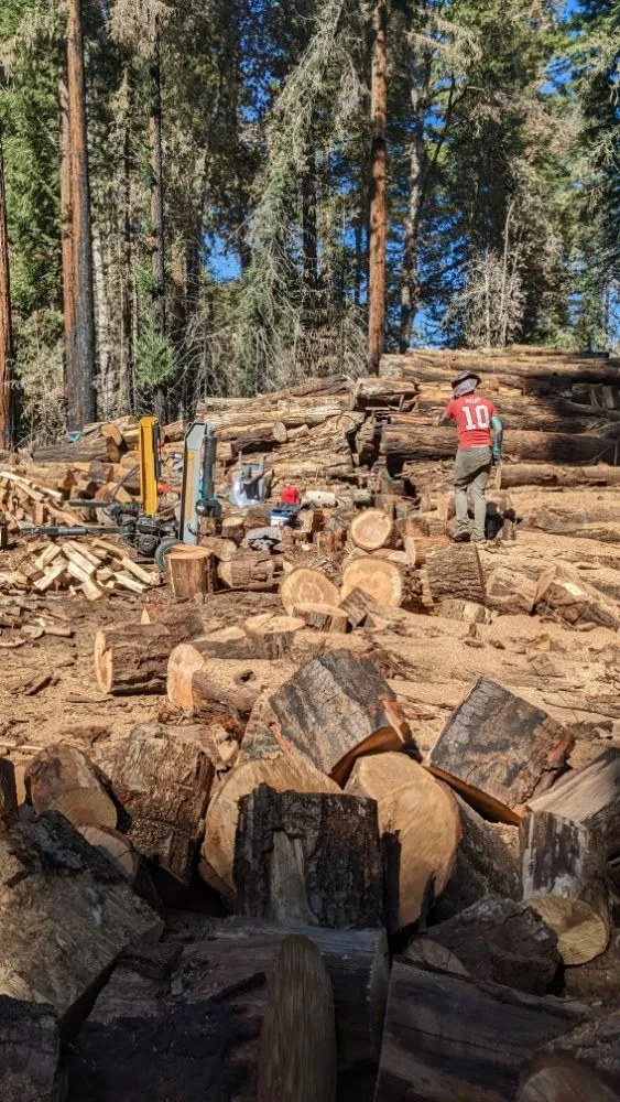 Local landscape design in Boulder Creek, CA by Conscious Clearing