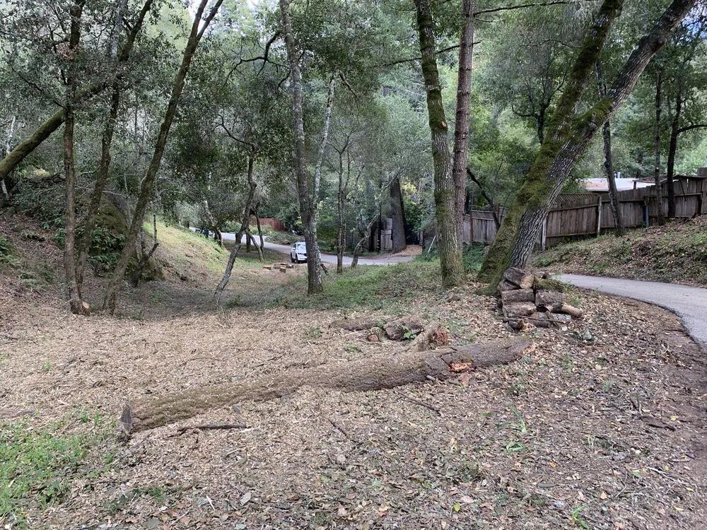 Local outdoor landscaping for year-round maintenance across Boulder Creek, CA - Conscious Clearing