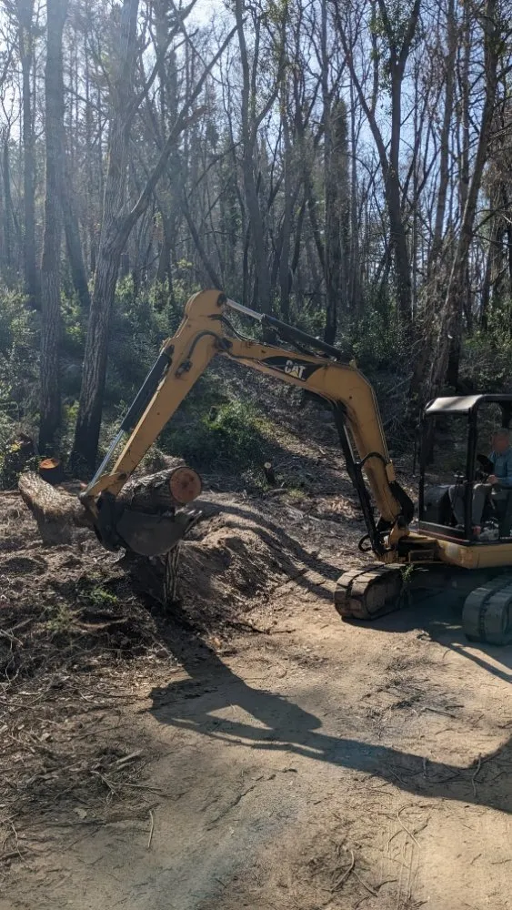 Affordable yard maintenance for year-round maintenance in Boulder Creek, CA by Conscious Clearing