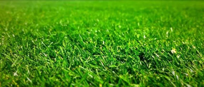 Trusted landscape design near you across Huntington Station, NY - Conserve A Tree