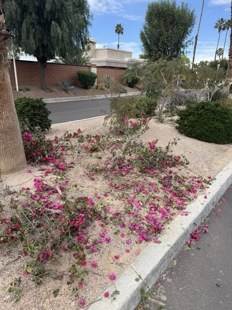 Local garden landscaping for homes across Thousand Palms, CA - Conserve LandCare