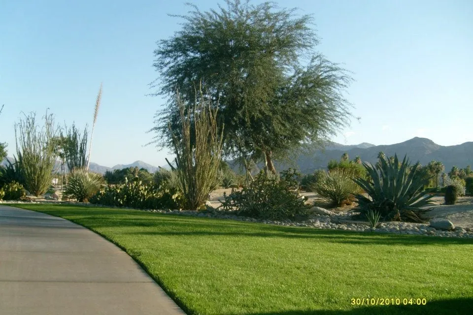 Reliable landscape design near you in Thousand Palms, CA by Conserve LandCare