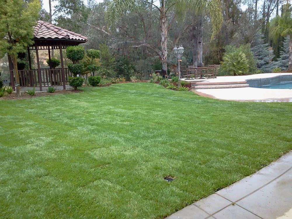 Reliable garden landscaping in Riverside, CA - Conserve Scape