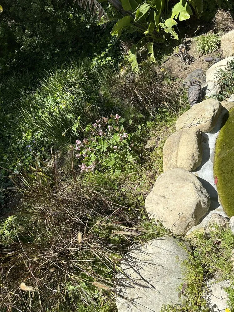 Reliable landscape design experts serving Beverly Hills, CA - ConserveX