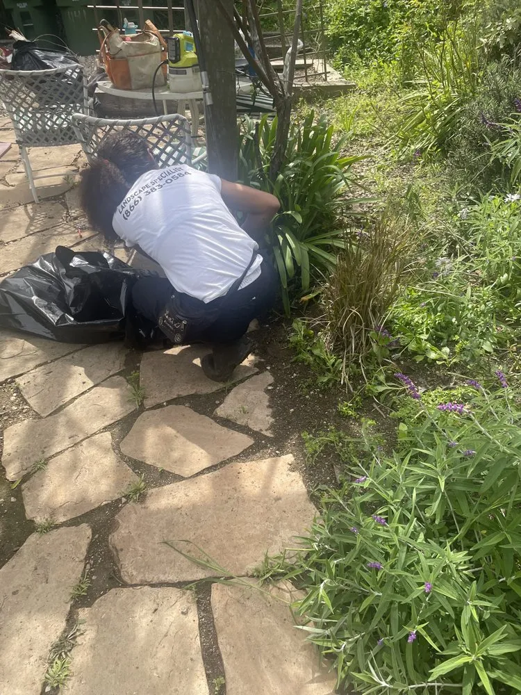 Professional outdoor landscaping in Beverly Hills, CA by ConserveX