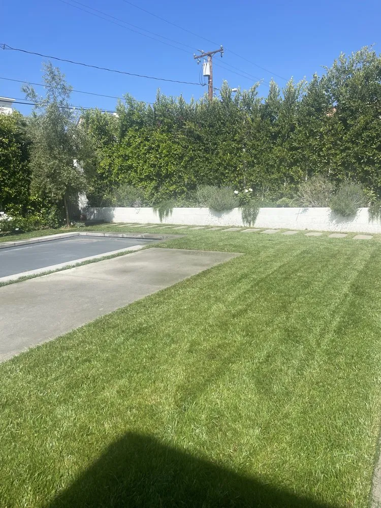 Top-rated lawn care service for year-round maintenance in Beverly Hills, CA by ConserveX