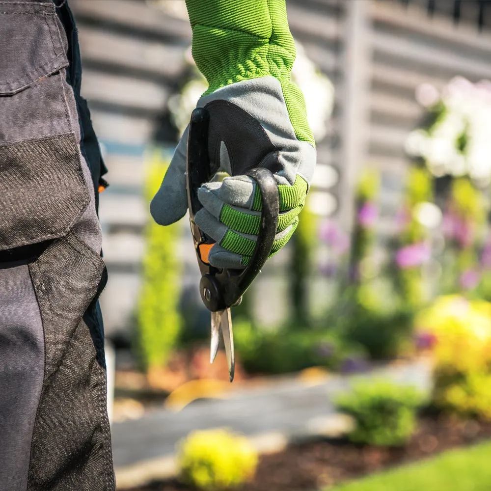 Expert outdoor landscaping in Beverly Hills, CA by ConserveX