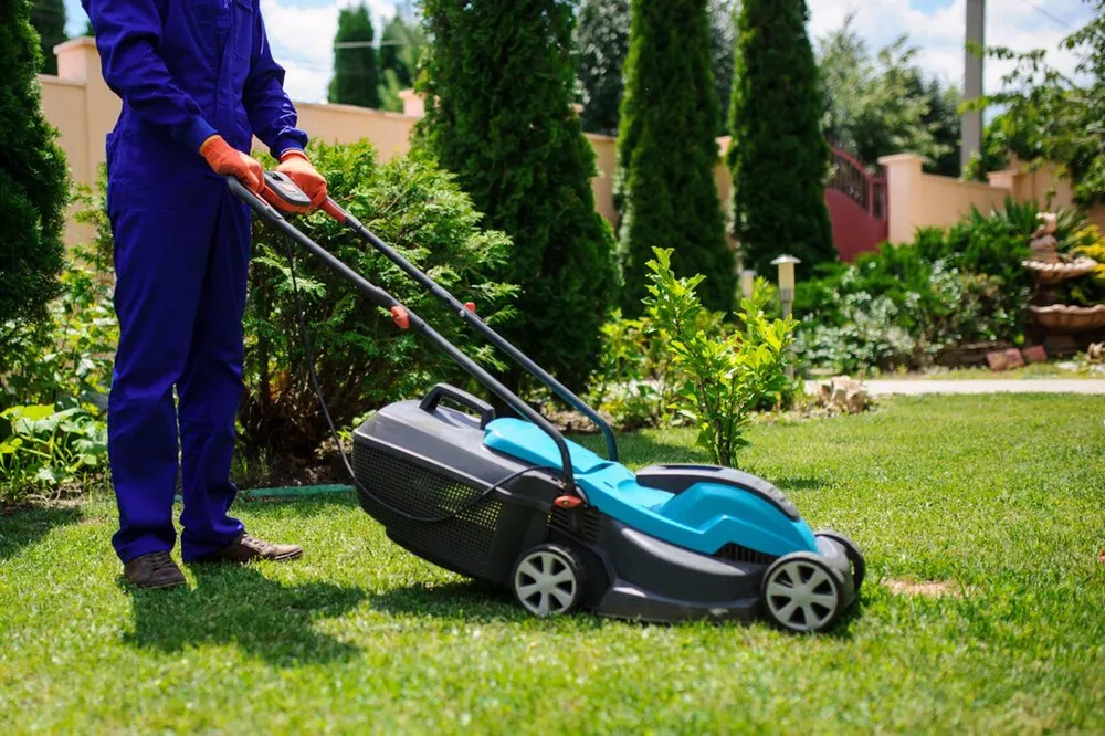 Expert landscape design in Beverly Hills, CA - ConserveX