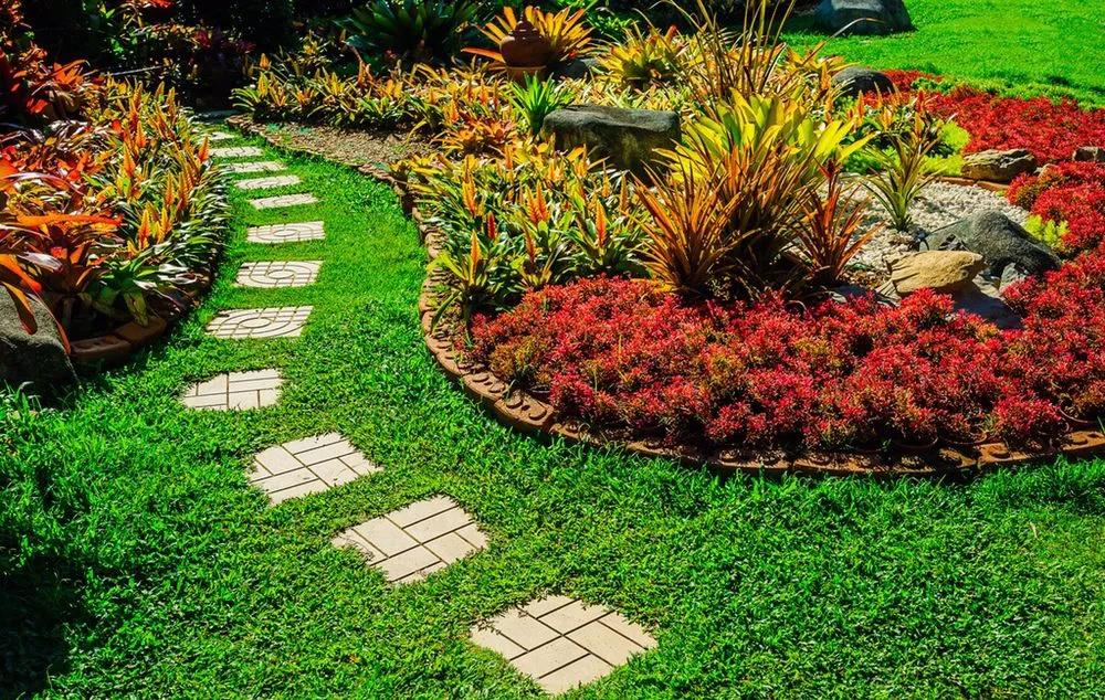 Custom yard cleanup service experts serving Beverly Hills, CA - ConserveX