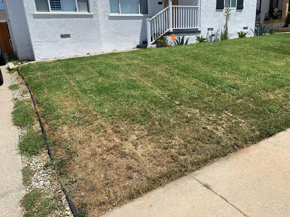 Trusted residential landscaping in Beverly Hills, CA - ConserveX