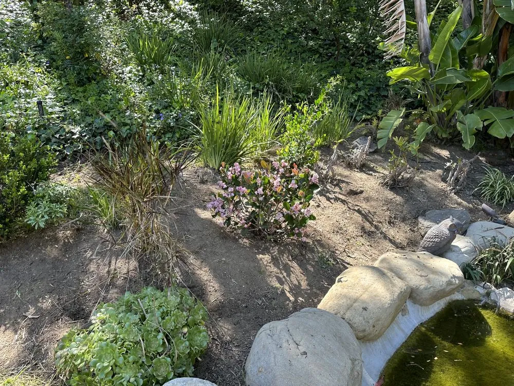 Expert yard maintenance in Beverly Hills, CA by ConserveX