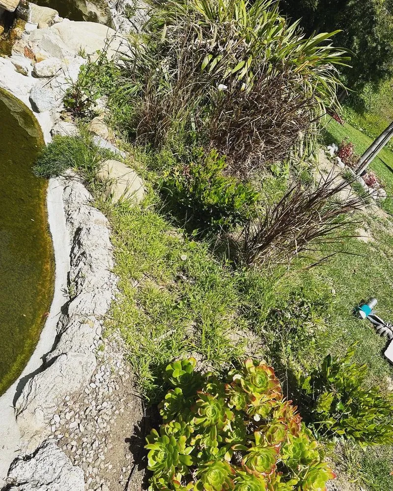 Expert yard maintenance for residential properties in Beverly Hills, CA by ConserveX