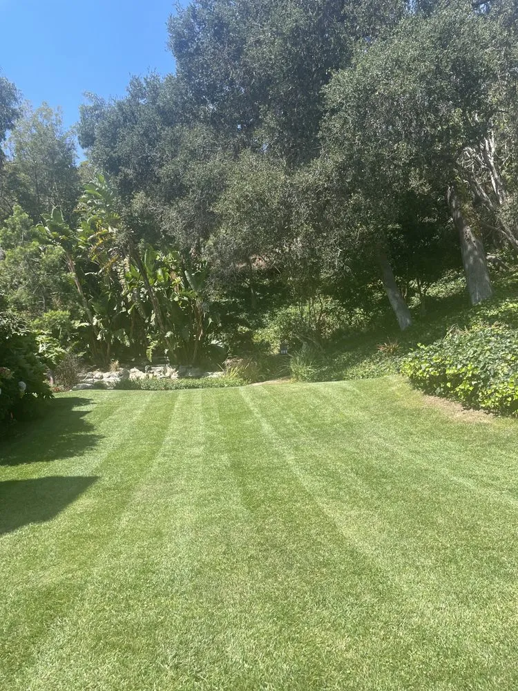 Local garden landscaping in Beverly Hills, CA - ConserveX