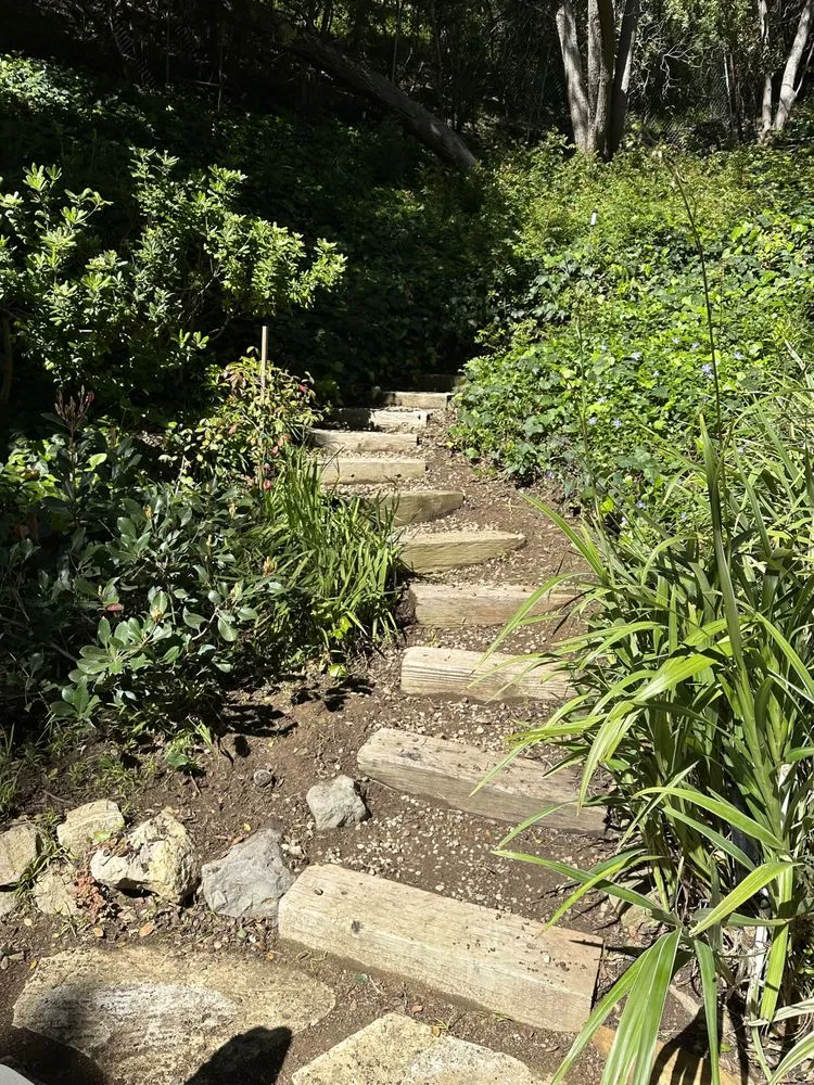 Reliable outdoor landscaping in Beverly Hills, CA by ConserveX