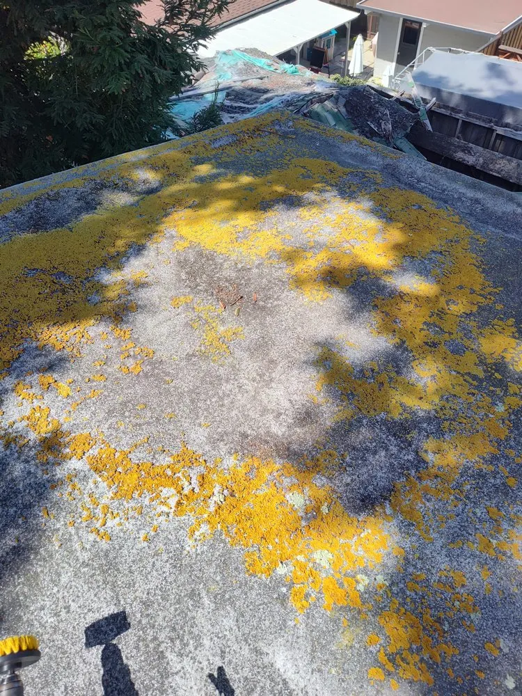 Local yard cleanup service in Berkeley, CA by Consider It Done