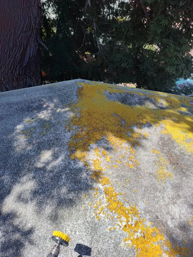 Affordable residential landscaping near you across Berkeley, CA - Consider It Done