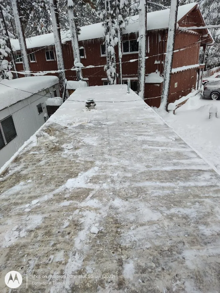 Affordable landscape design in Berkeley, CA by Consider It Done