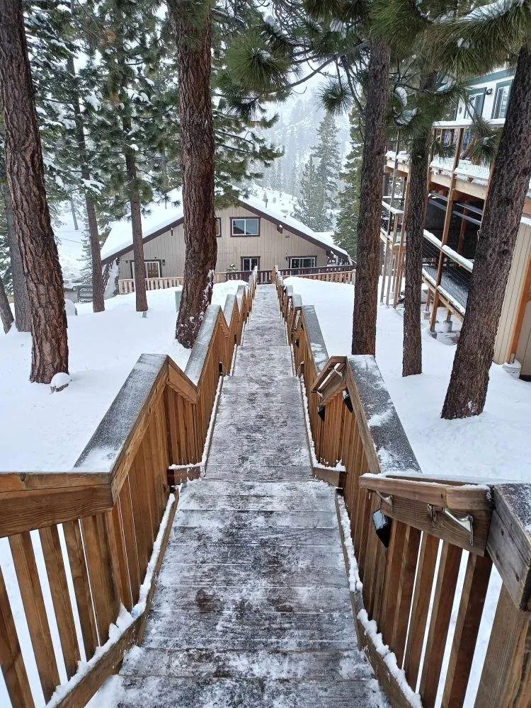 Trusted yard cleanup service for outdoor upgrades across Berkeley, CA - Consider It Done