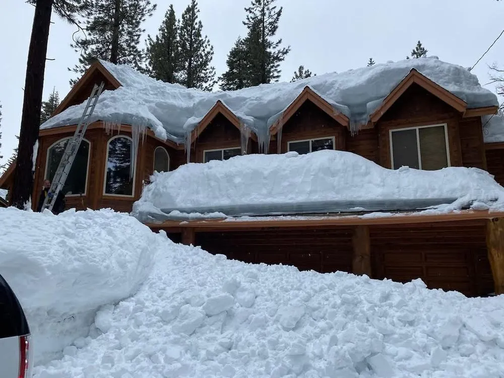 Reliable yard cleanup service for year-round maintenance in Berkeley, CA by Consider It Done