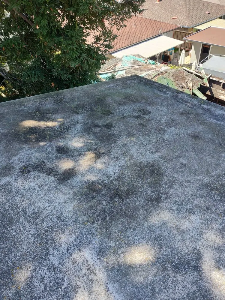 Custom yard maintenance in Berkeley, CA - Consider It Done