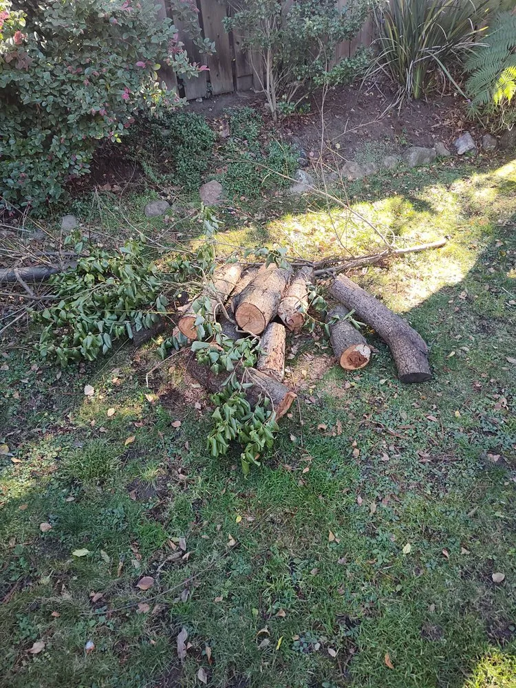 Custom lawn mowing service in Berkeley, CA by Consider It Done