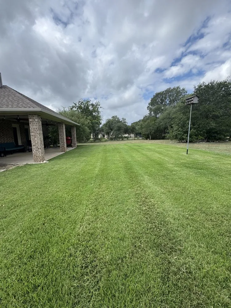 Custom landscape installation for beautiful yards in Bastrop, TX by Consigna Landscaping