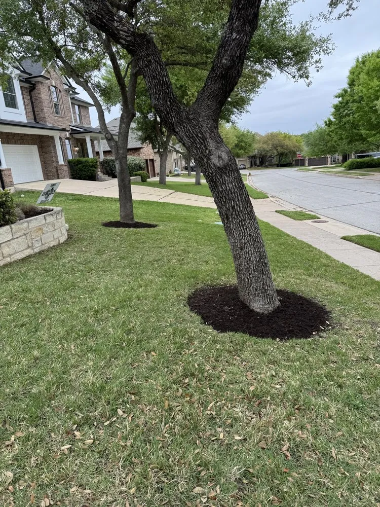 Trusted lawn mowing service in Bastrop, TX by Consigna Landscaping