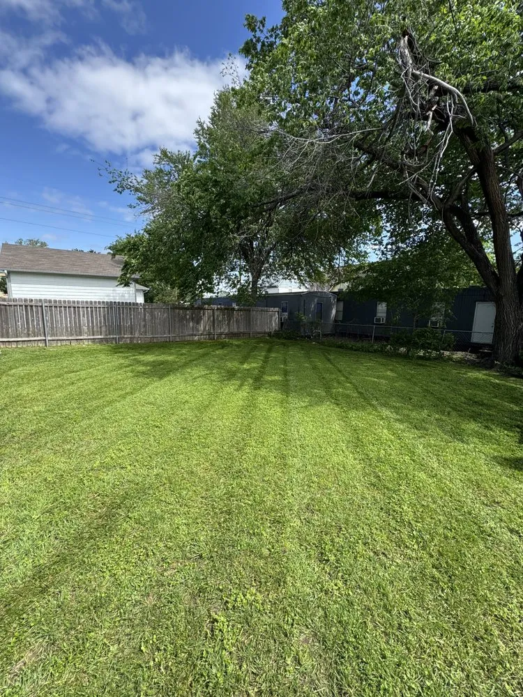 Affordable lawn mowing service experts serving Bastrop, TX - Consigna Landscaping