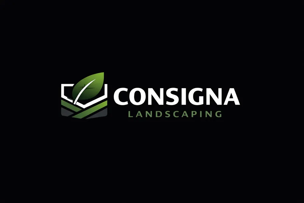 Reliable landscape design for outdoor upgrades in Bastrop, TX by Consigna Landscaping