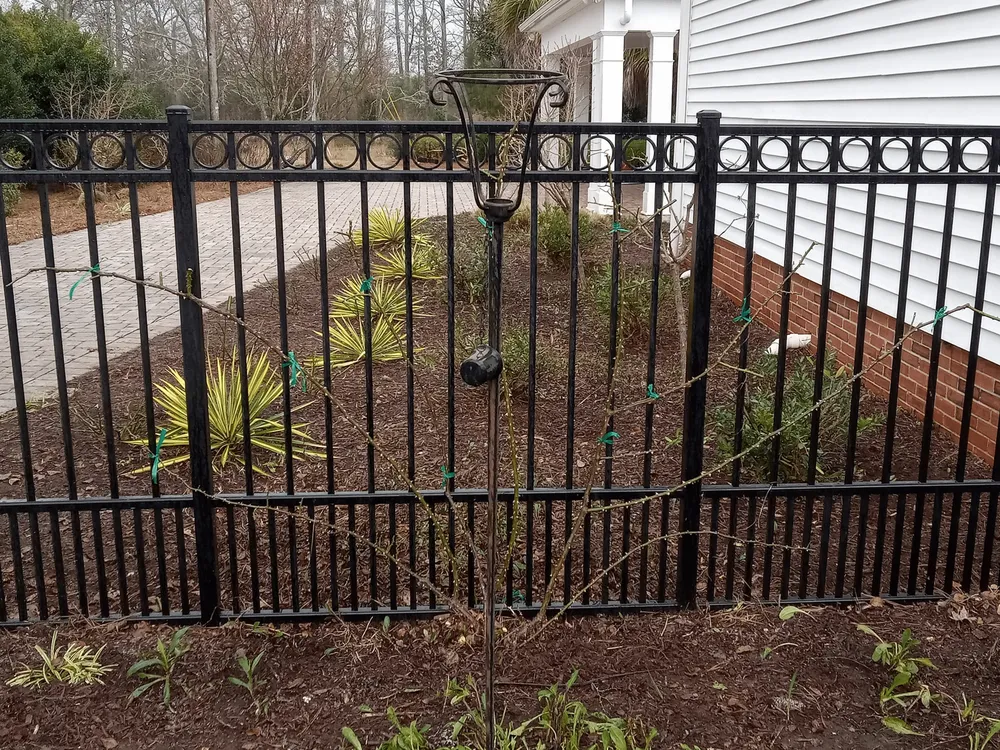 Top-rated lawn care service experts serving Bennettsville, SC - Consistent Lawncare Landscape Services