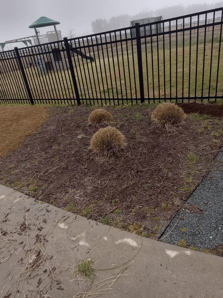 Expert landscaping services for residential properties across Bennettsville, SC - Consistent Lawncare Landscape Services