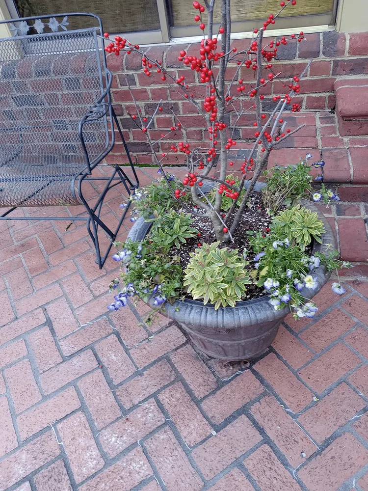 Custom lawn care service in Bennettsville, SC - Consistent Lawncare Landscape Services