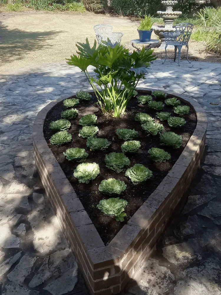 Expert garden landscaping experts serving Bennettsville, SC - Consistent Lawncare Landscape Services