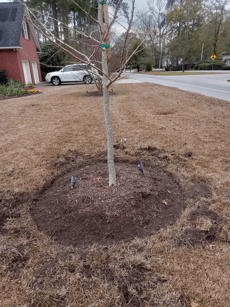 Expert lawn care service in Bennettsville, SC by Consistent Lawncare Landscape Services