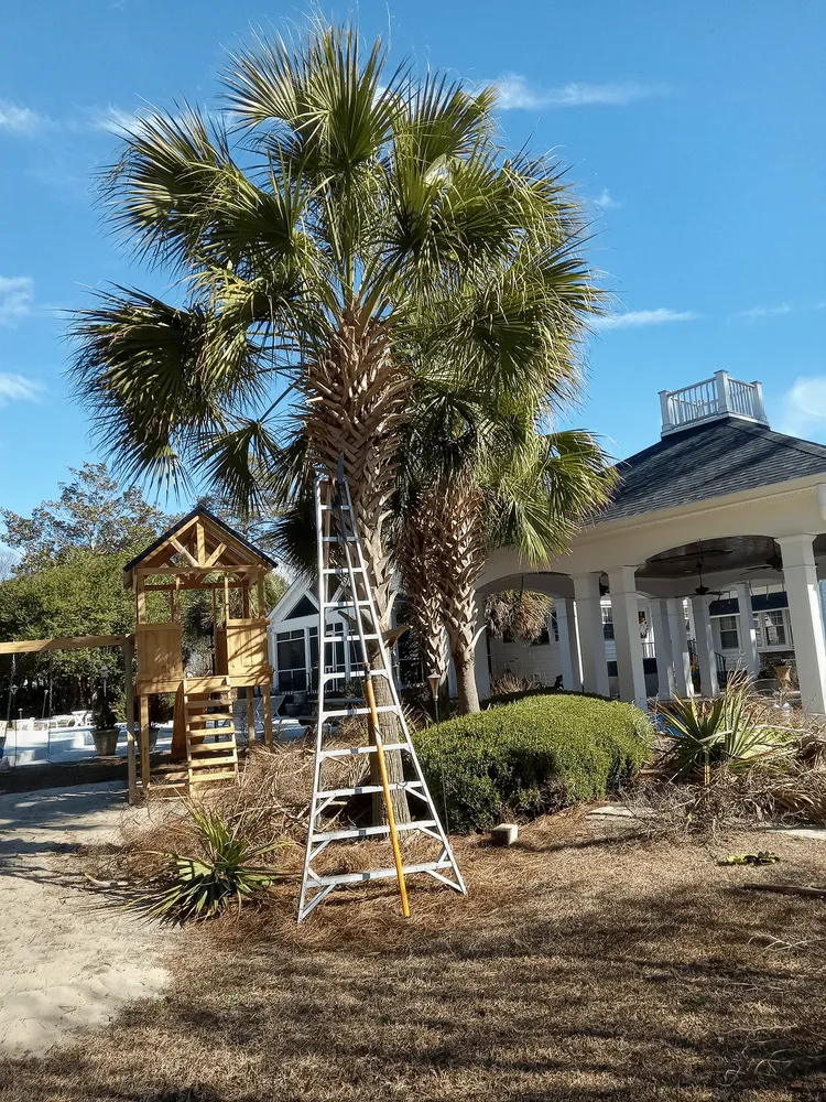 Custom landscape design for year-round maintenance in Bennettsville, SC by Consistent Lawncare Landscape Services