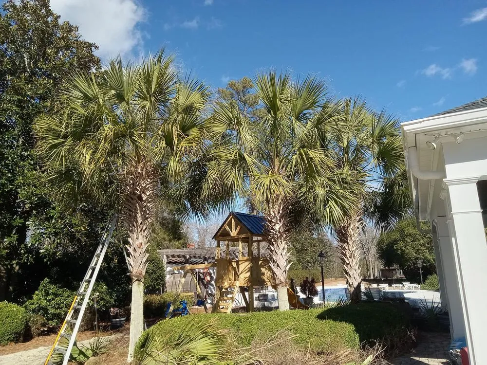 Professional landscape installation experts serving Bennettsville, SC - Consistent Lawncare Landscape Services