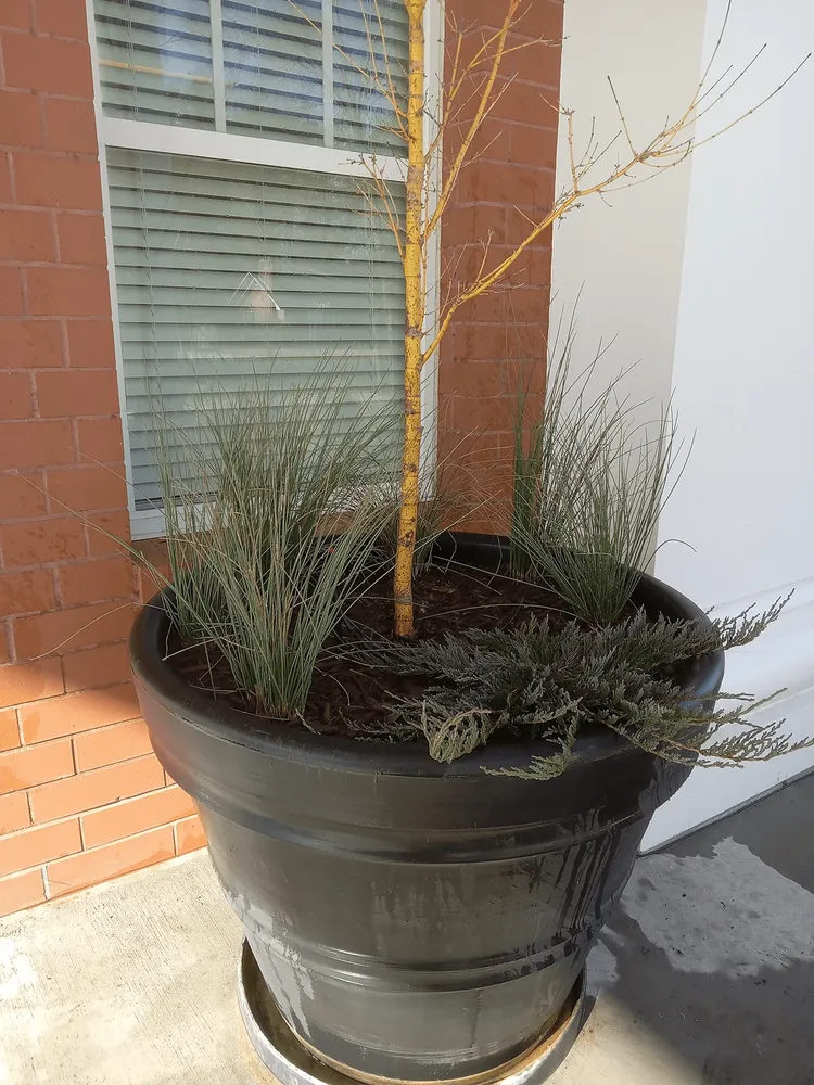 Expert residential landscaping in Bennettsville, SC by Consistent Lawncare Landscape Services