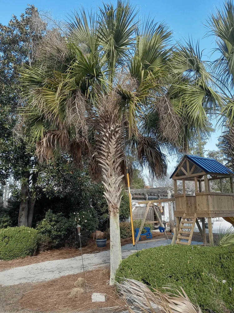 Reliable lawn care service in Bennettsville, SC - Consistent Lawncare Landscape Services