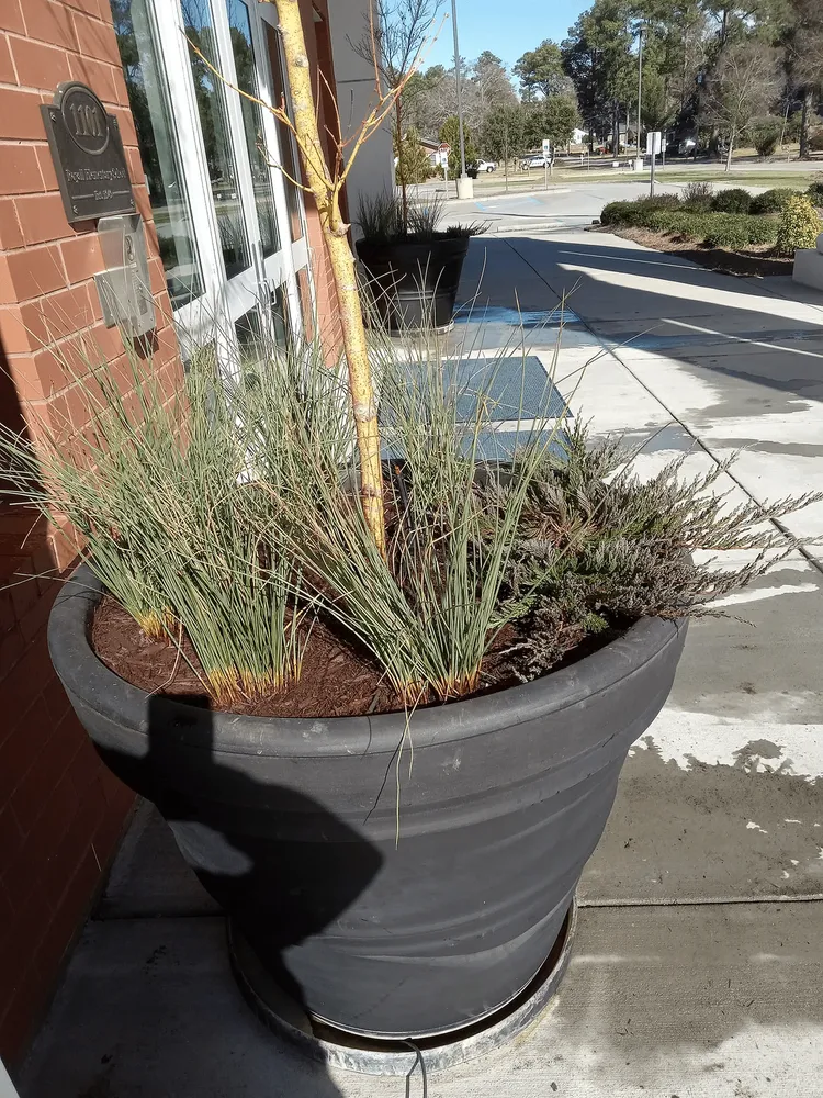 Top-rated garden landscaping for homes across Bennettsville, SC - Consistent Lawncare Landscape Services