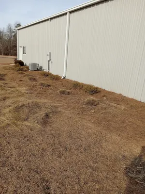 Consistent Lawncare Landscape Services